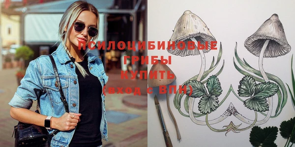 ешки Зеленодольск