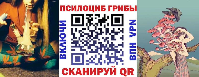 Купить где  Брянск  Галлюциногенные грибы Magic Shrooms 